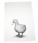 Preview: Geschirrtuch Küchentuch weiß "Motiv Ente" 50cm x 70cm 100%Baumwolle