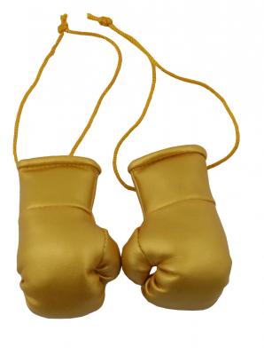 1Paar(2Stck.)Deko Mini Boxhandschuhe Gold