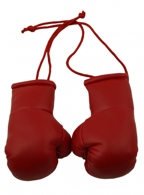 1Paar(2Stck.)Deko Mini Boxhandschuhe Rot