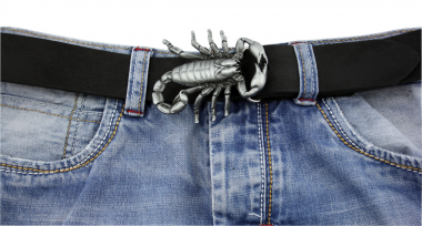 Gürtelschnalle Buckle  GS 17