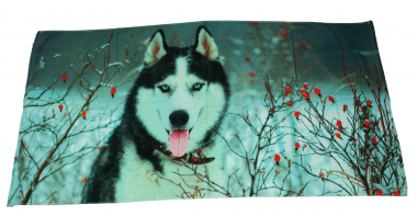 Handtuch Badetuch Husky 80 x 40 cm 100% Baumwolle