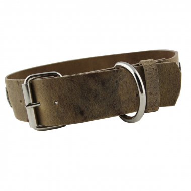 Hundehalsband Leder Indi03 Braun  Größe 55 - 61cm Breite 5cm