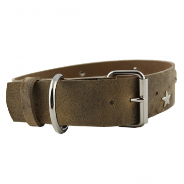 Hundehalsband Leder Indi04 Braun  Größe 55 - 61cm Breite 5cm