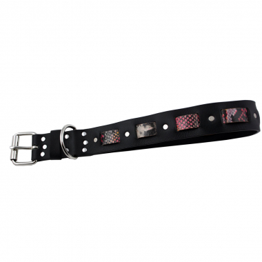 Hundehalsband Leder Schwarz Indi 05 Größe 48 - 54cm Breite 4cm