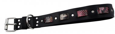 Hundehalsband Leder Schwarz Indi 05 Größe 56 - 62cm Breite 4cm