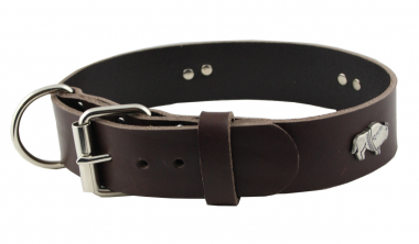 Hundehalsband Leder Indi Braun  Größe 57 - 63cm Breite 4cm