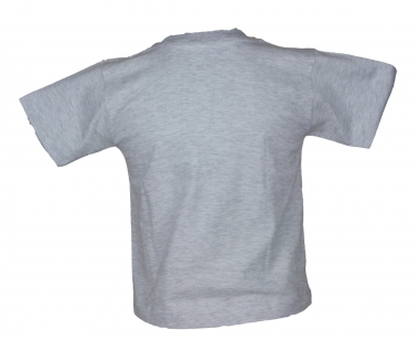 Kinder T-Shirt - Frosch - Grau