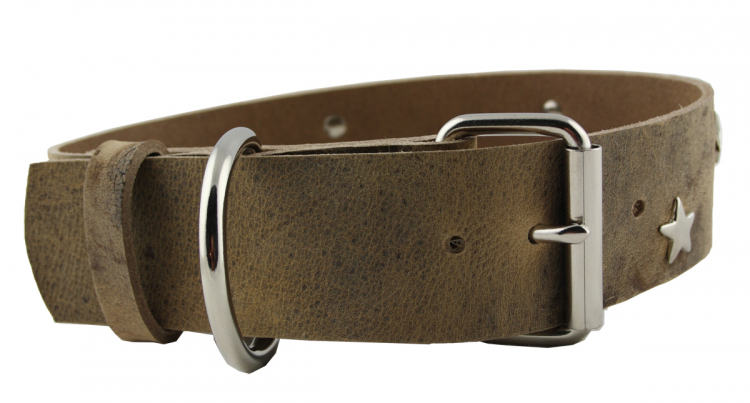 Hundehalsband Leder Indi04 Braun  Größe 55 - 61cm Breite 5cm