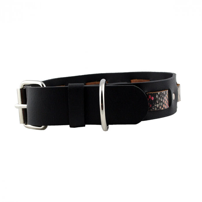 Hundehalsband Leder Schwarz Indi 05 Größe 48 - 54cm Breite 4cm