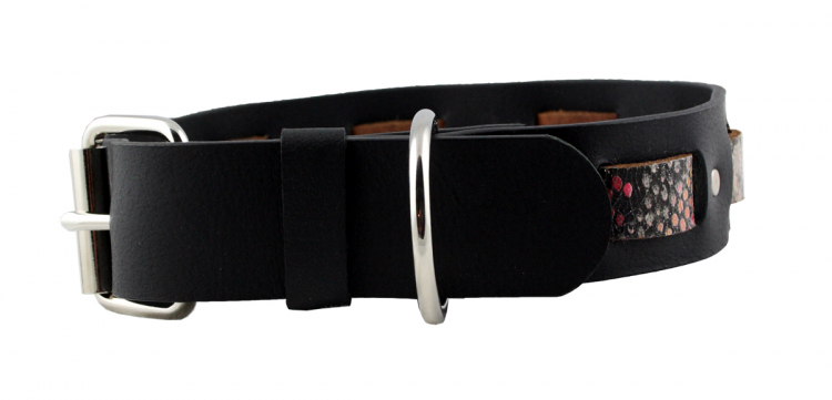 Hundehalsband Leder Schwarz Indi 05 Größe 56 - 62cm Breite 4cm