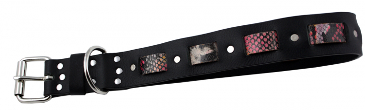 Hundehalsband Leder Schwarz Indi 05 Größe 56 - 62cm Breite 4cm