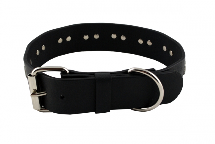 Hundehalsband Leder  Schwarz Halsumfang 56-62cm Breite 4cm Indi07 -